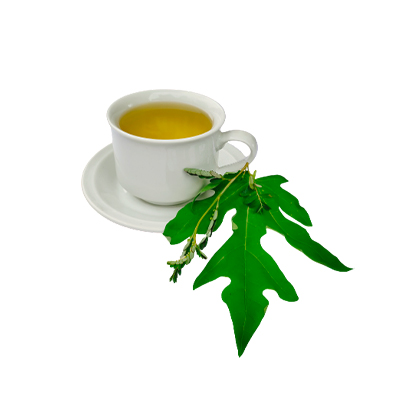 Traditional recipe Malaria from Pepaya