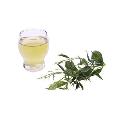 Traditional recipe Typhoid Fever from Sambiloto