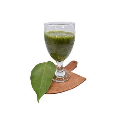 Traditional recipe Cincau Batang Drink to Lower Blood Pressure in Women with Hypertension from Cincau Batang