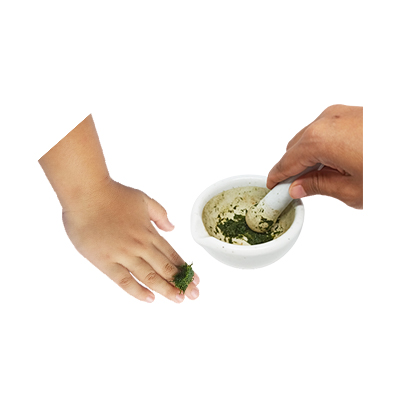 Traditional recipe Wound Remedy from Rumput Paitan