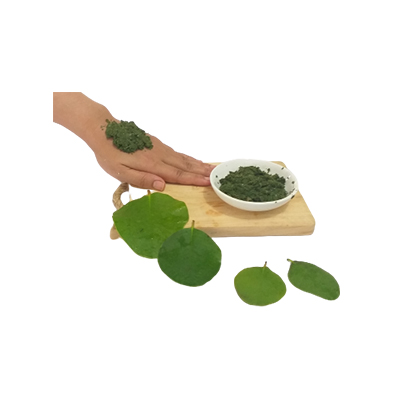 Traditional recipe Treating Wounds and Bruises from Apel Mangrove