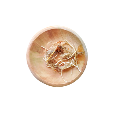 Traditional recipe Toothache from Eceng Padi