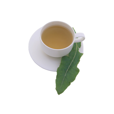 Traditional recipe Mastitis from Tempuyung