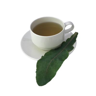 Traditional recipe Urinary stones from Tempuyung