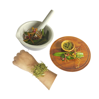 Traditional recipe Sprains and cracked bones from Anggrek Pohon Kala