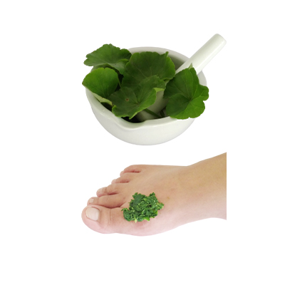 Traditional recipe Rheumatism from Geranium