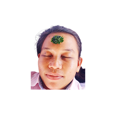 Traditional recipe Headache from Jelatang Ayam