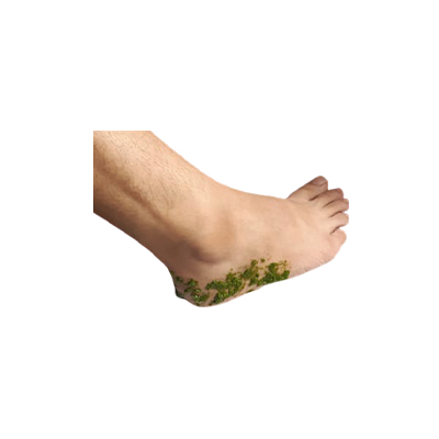 Traditional recipe Calluses from Cincau Minyak
