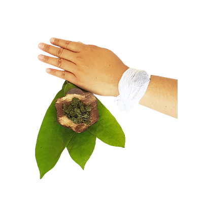 Traditional recipe Wound remedy from Buah Buni