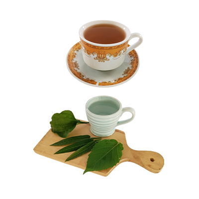 Traditional recipe Acute hepatitis and jaundice from Daun Duduk