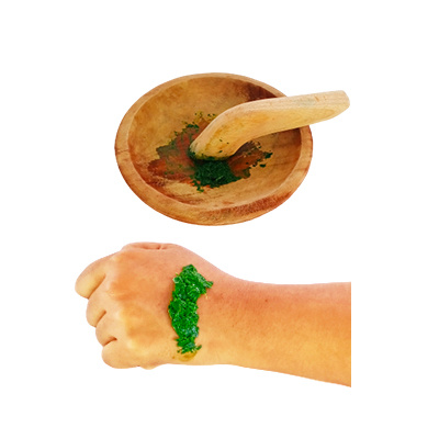 Traditional recipe Snake bite and boils from Daun Encok