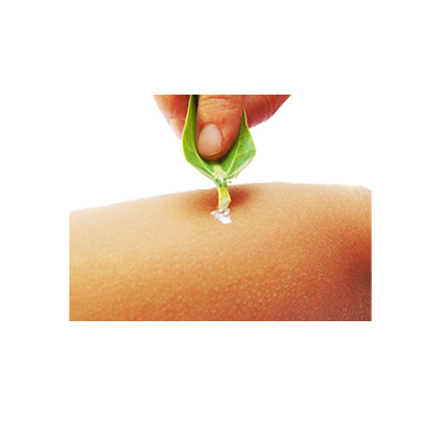 Traditional recipe Boils, eczema and removing thorns from the body from Biduri