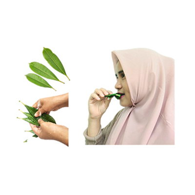 Traditional recipe As a laxative from Bintaro