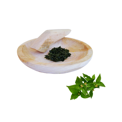 Traditional recipe Stomach ache from Jotang Kuda