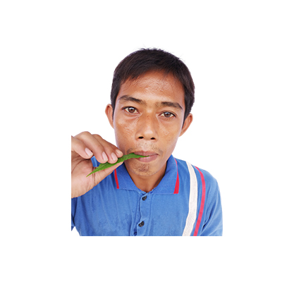 Traditional recipe Improving sperm quality from Kayu Ingul
