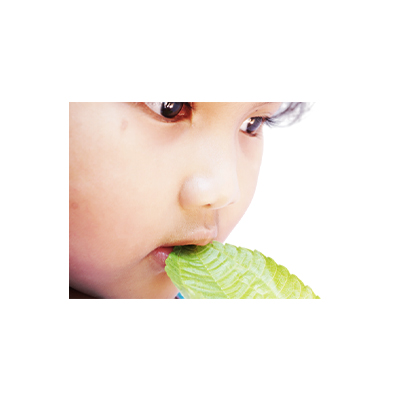 Traditional recipe Dry and dull skin (keeps skin youthful) from Poh-pohan