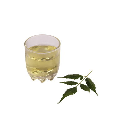 Traditional recipe Body stamina from Mindi Kecil