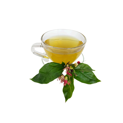 Traditional recipe Urinary stones and diuretic from Nona Makan Sirih