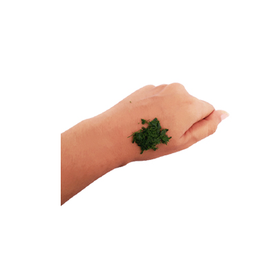 Traditional recipe Wounds from Rumbia