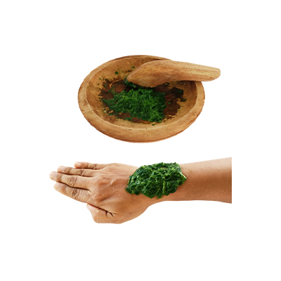 Traditional recipe Wounds, inflammation and swelling from Krokot Belanda