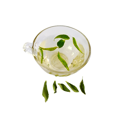 Traditional recipe Diabetes from Stevia
