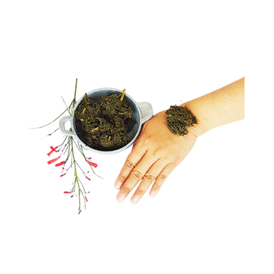 Traditional recipe Wound remedy from Bunga Air Mancur