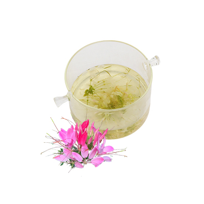 Traditional recipe Treating rheumatism from Mamang Besar