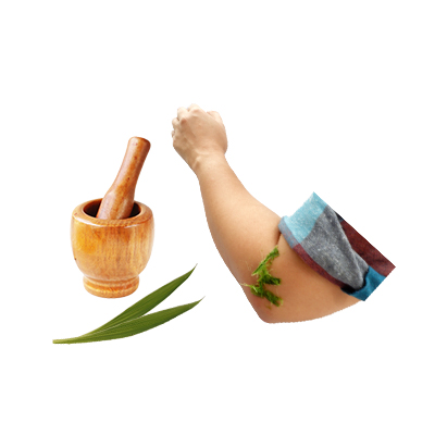 Traditional recipe Rheumatism from Anggrek Tanah Ungu