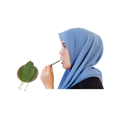 Traditional recipe Laxative from Bunga Batavia