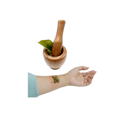 Traditional recipe Wounds from Mahang Damar