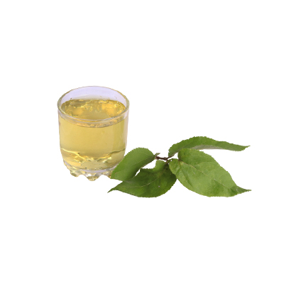 Traditional recipe Lowering blood fat from Jati Belanda