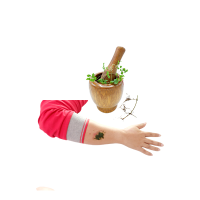 Traditional recipe Wounds from Sisik Betok