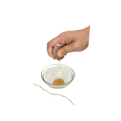 Traditional recipe Laxative remedy from Wareng bintang