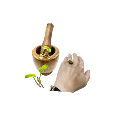 Traditional recipe Wounds from Petungan