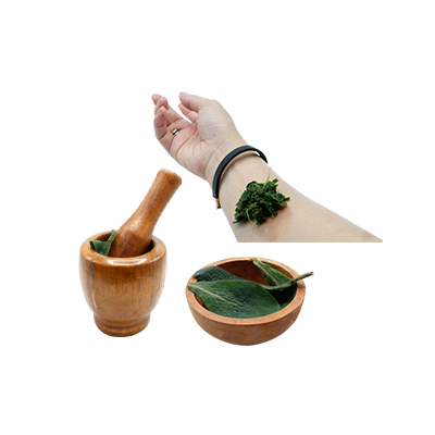 Traditional recipe Wounds and bruises from Bugle