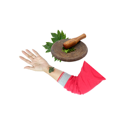 Traditional recipe Smallpox from Ashitaba
