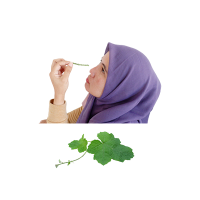 Traditional recipe Eye pain from Rosberi Hutan