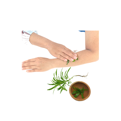 Traditional recipe Relieving itching from mosquito bites from Zodia
