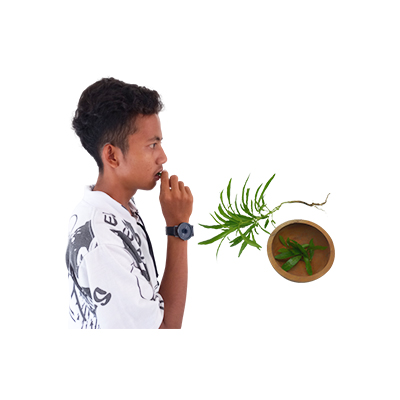 Traditional recipe Addressing bad breath from Zodia