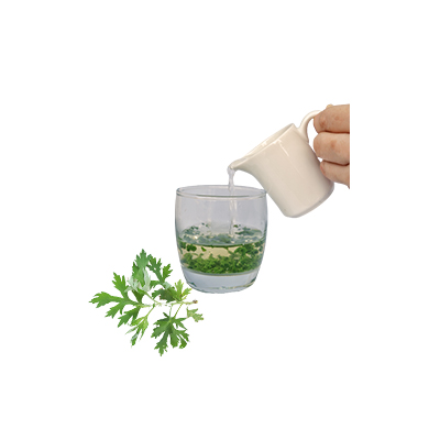 Traditional recipe Fever reducer from Silvery Wormwood