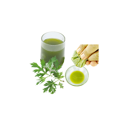 Traditional recipe Cough from Silvery Wormwood