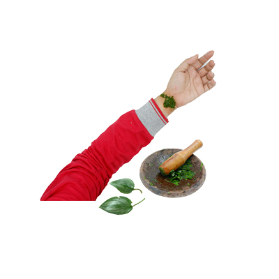 Traditional recipe Rheumatism from Scindapsus officinalis