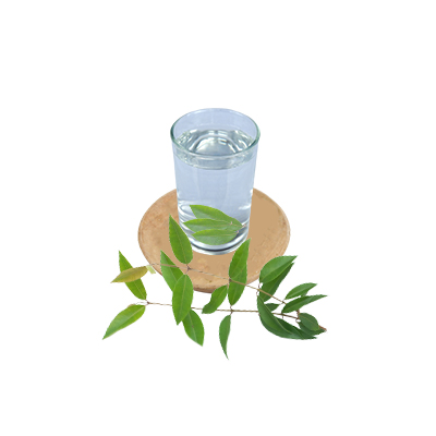 Traditional recipe Sore throat from Lemon Myrtle