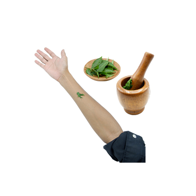 Traditional recipe Eczema from Ludwigia Perennis