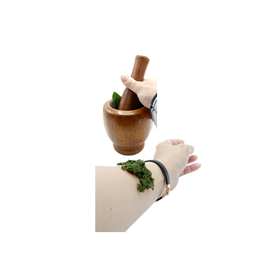Traditional recipe Swelling from Terung Dayak