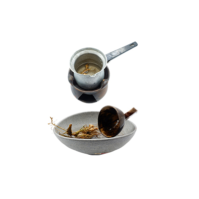 Traditional recipe Fever from Terung Dayak