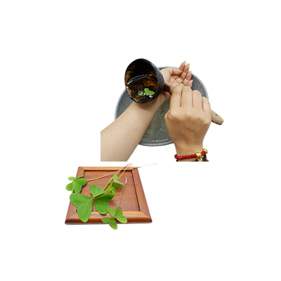 Traditional recipe Warts from Calincing Daun Kupu Kupu