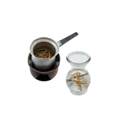 Traditional recipe Malaria from Akar Ipoh Putih
