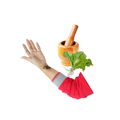 Traditional recipe Rheumatism from Sawi Pahit