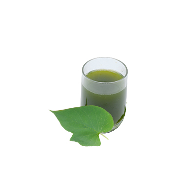 Traditional recipe Dysentery from Bunga Fajar Biru